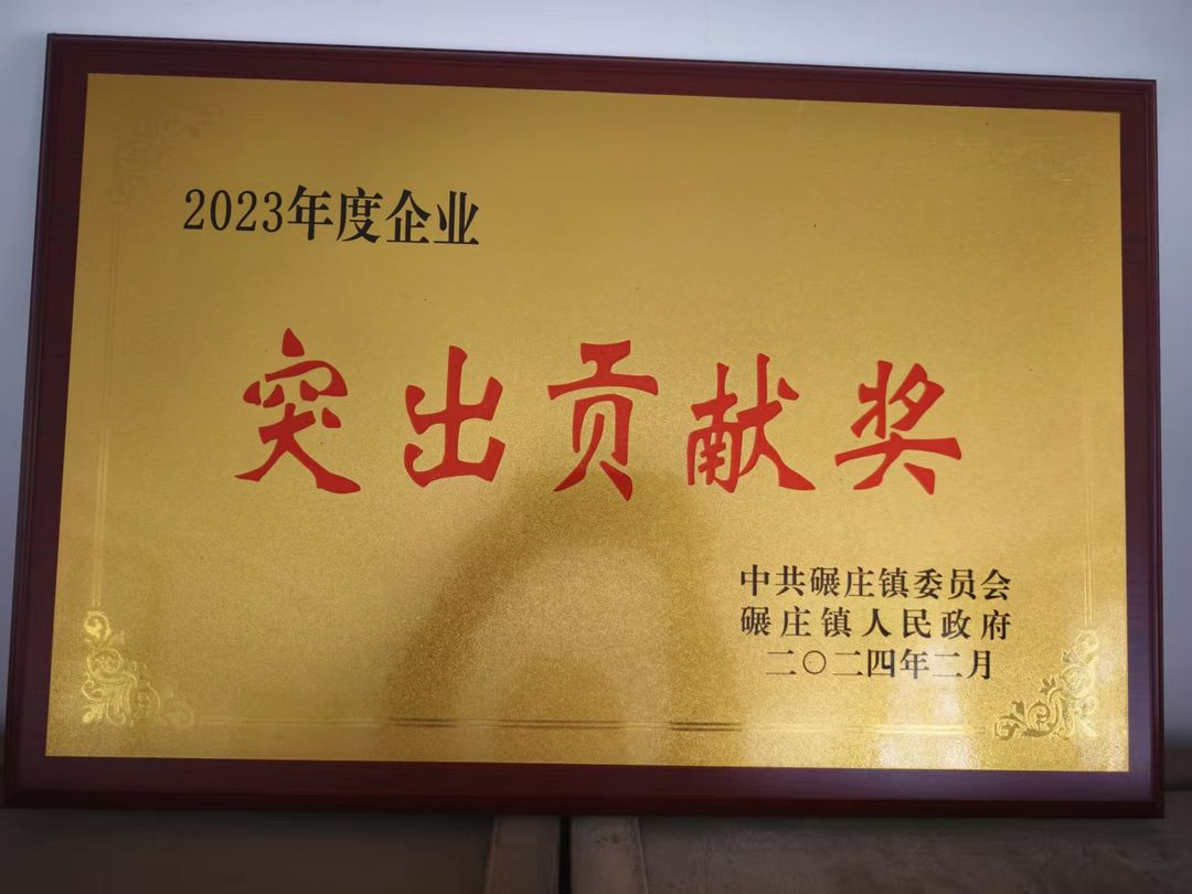 突出贡献奖